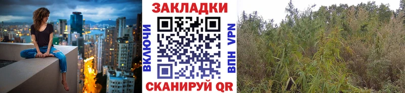 Как найти наркотики Короча СК  КОКАИН  ГАШИШ  Меф мяу мяу  Бошки Шишки 