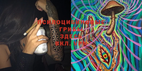 мяу мяу мука Осинники