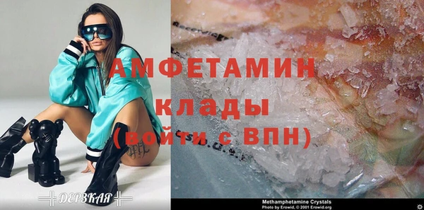 шишки Арсеньев