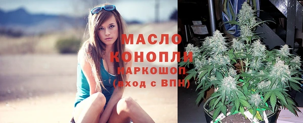 дмт Балахна