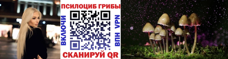 Псилоцибиновые грибы мицелий  магазин продажи   Короча 